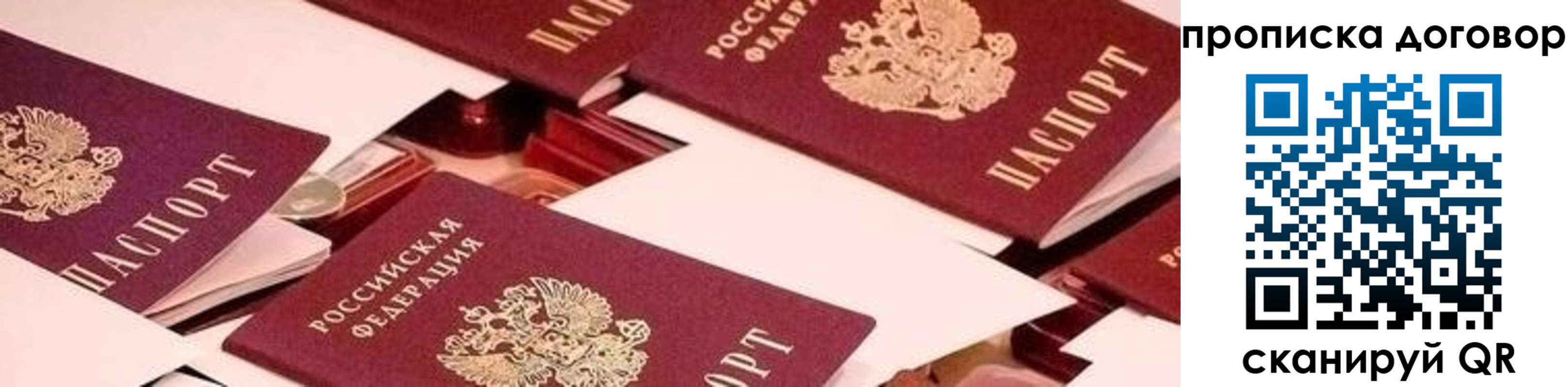 прописка 2025 в Электрогорске
